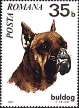 Stamp illustration: My Friend the Dog