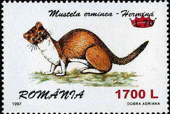 Illustration 5 from ROMANIAN POSTAL HISTORY REPEATS ITSELF