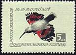 Illustration 4 from Birds on Romanian Stamps