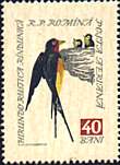 Illustration 7 from Birds on Romanian Stamps