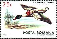 Illustration 12 from Birds on Romanian Stamps