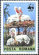 Illustration 18 from Birds on Romanian Stamps