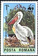 Illustration 19 from Birds on Romanian Stamps