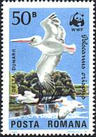 Illustration 20 from Birds on Romanian Stamps