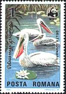 Illustration 17 from Birds on Romanian Stamps