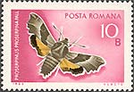 Illustration 2 from Butterflies on Romanian Stamps