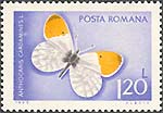 Illustration 7 from Butterflies on Romanian Stamps