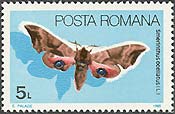 Illustration 14 from Butterflies on Romanian Stamps