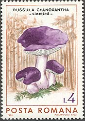 Illustration 5 from Fungi on Romanian Stamps
