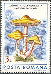 Illustration 4 from Fungi on Romanian Stamps
