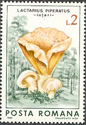 Illustration 3 from Fungi on Romanian Stamps