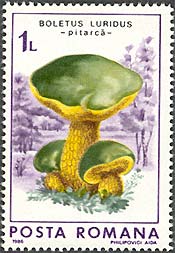 Illustration 2 from Fungi on Romanian Stamps