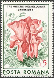 Illustration 6 from Fungi on Romanian Stamps